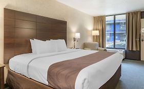 Quality Inn Vienna - Tysons Corner